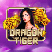 jkc casino Rồng Hổ